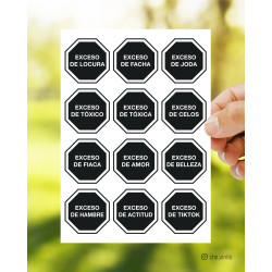 Plancha Stickers Exceso