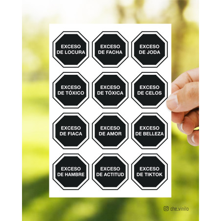 Plancha Stickers Exceso