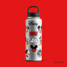 Plancha Stickers Mickey